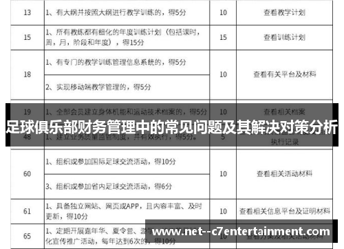足球俱乐部财务管理中的常见问题及其解决对策分析