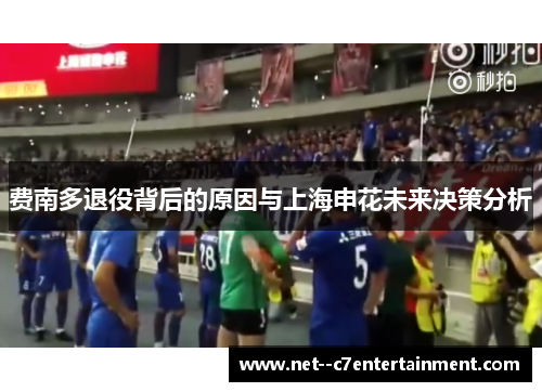 费南多退役背后的原因与上海申花未来决策分析