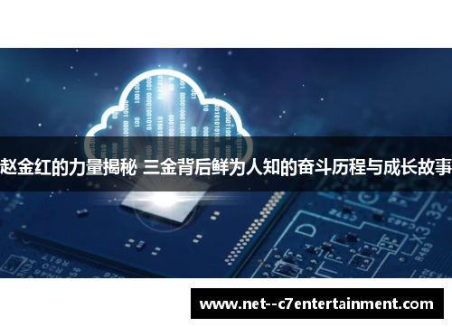 赵金红的力量揭秘 三金背后鲜为人知的奋斗历程与成长故事