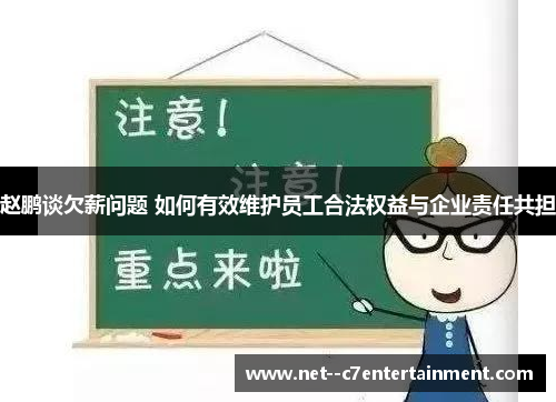赵鹏谈欠薪问题 如何有效维护员工合法权益与企业责任共担