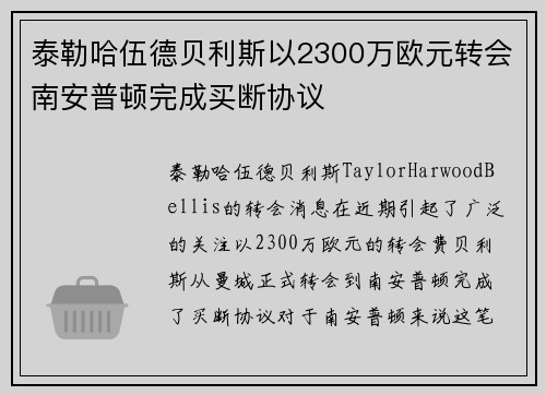 泰勒哈伍德贝利斯以2300万欧元转会南安普顿完成买断协议