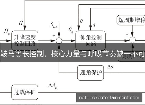 鞍马等长控制，核心力量与呼吸节奏缺一不可